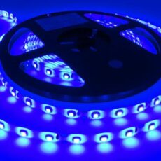 Tira 300 LEDs 3528 Interior - Azul - 5 m
